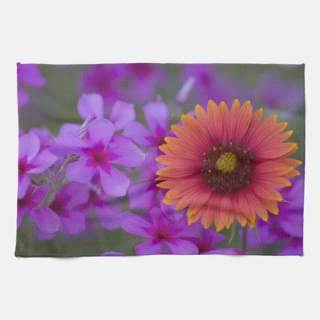 Phlox und Indianerblanket bei Devine Texas Geschirrtuch (Horizontal)
