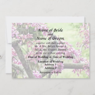 Phoebe in einem Redbud Tree Hochzeitsmaterial Einladung