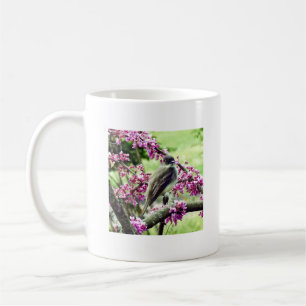 Phoebe in einem Redbud Tree Kaffeetasse