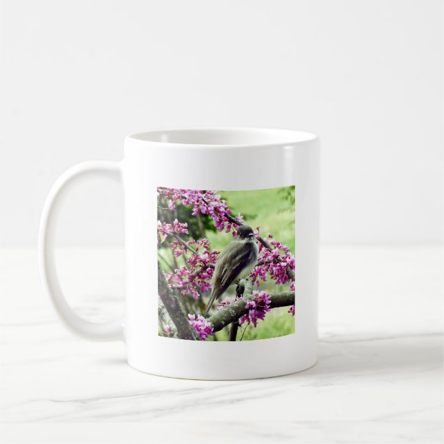 Phoebe in einem Redbud Tree Kaffeetasse (Links)
