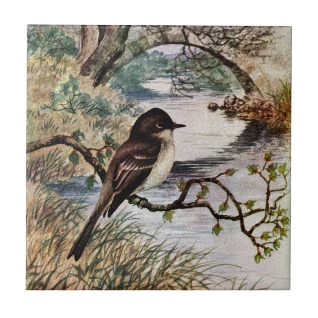 Phoebe und Steinbrücke über Nebenfluss Fliese (Vorderseite)