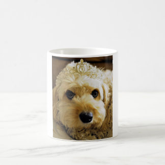 PhoebethePrincess, Cavapoo auf klassischer weißer Kaffeetasse