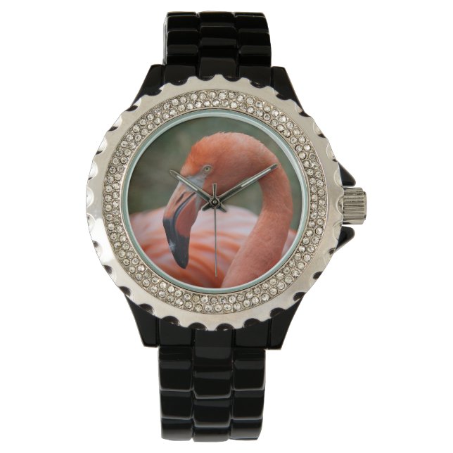 Phoenicopterus ruber armbanduhr (Vorderseite)