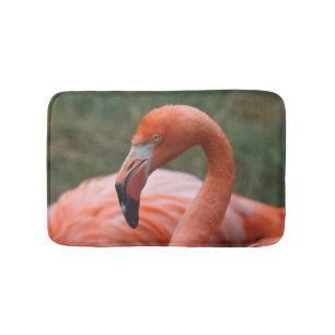 Phoenicopterus ruber badematte