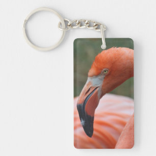 Phoenicopterus ruber schlüsselanhänger