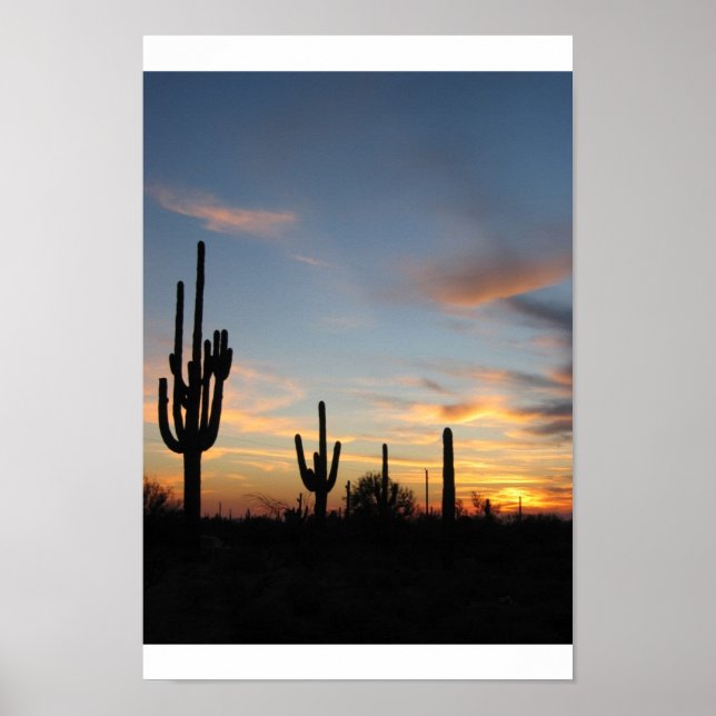 Phoenix Arizona Poster (Vorne)