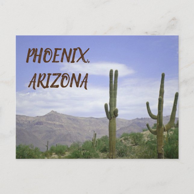 Phoenix Arizona Wüstenfotografie Saguaro Cactus Postkarte (Vorderseite)