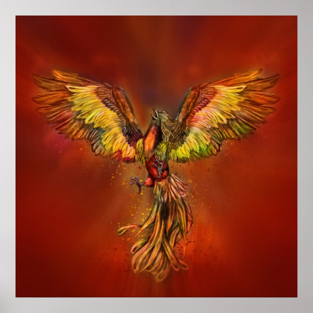 Phoenix Aufstieg - roter Himmel Poster (Vorne)