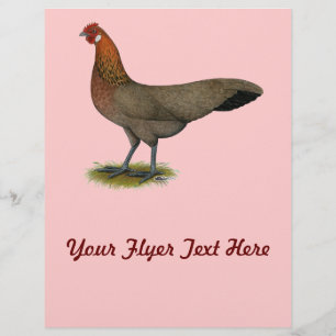 Phoenix: BB Red Hen Flyer