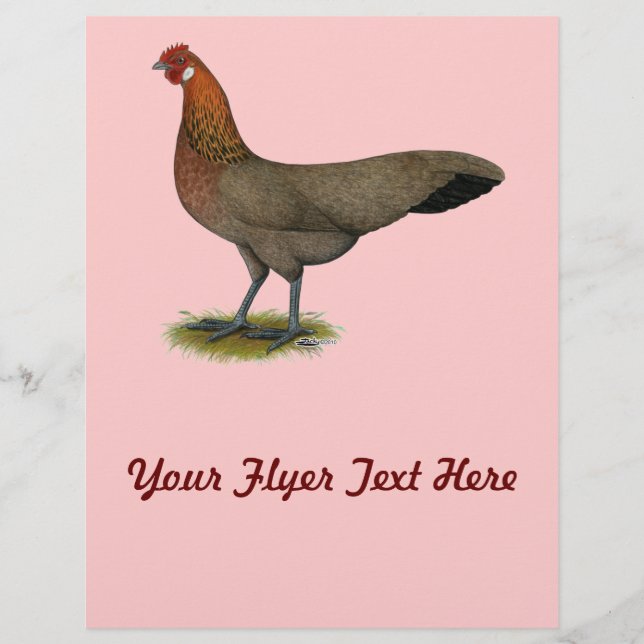 Phoenix: BB Red Hen Flyer (Vorne)