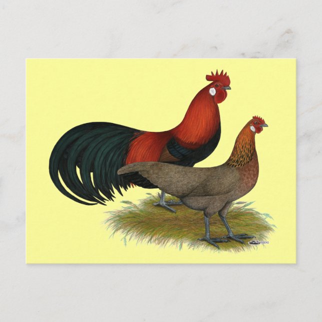 Phoenix: BB Red Pair Postkarte (Vorderseite)