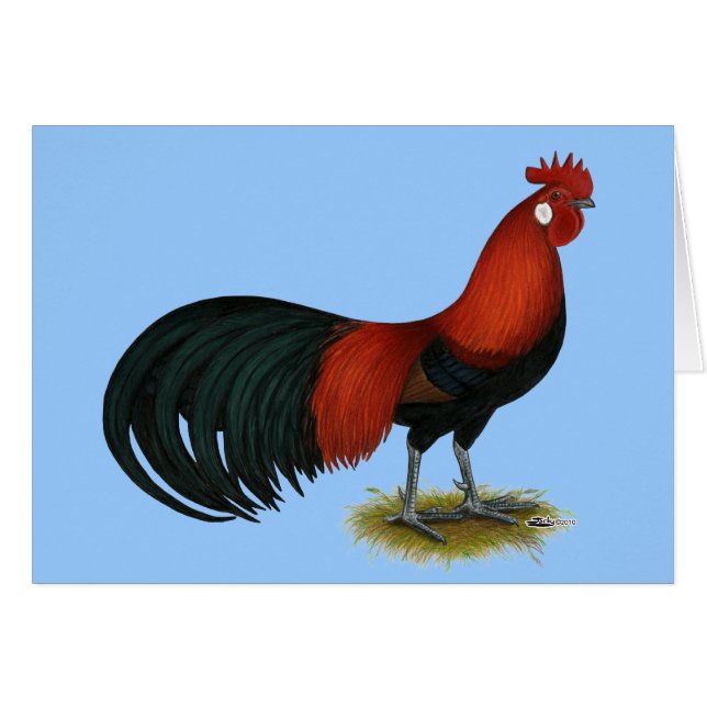 Phoenix: BB Red Rooster (Vorderseite (Horizontal))