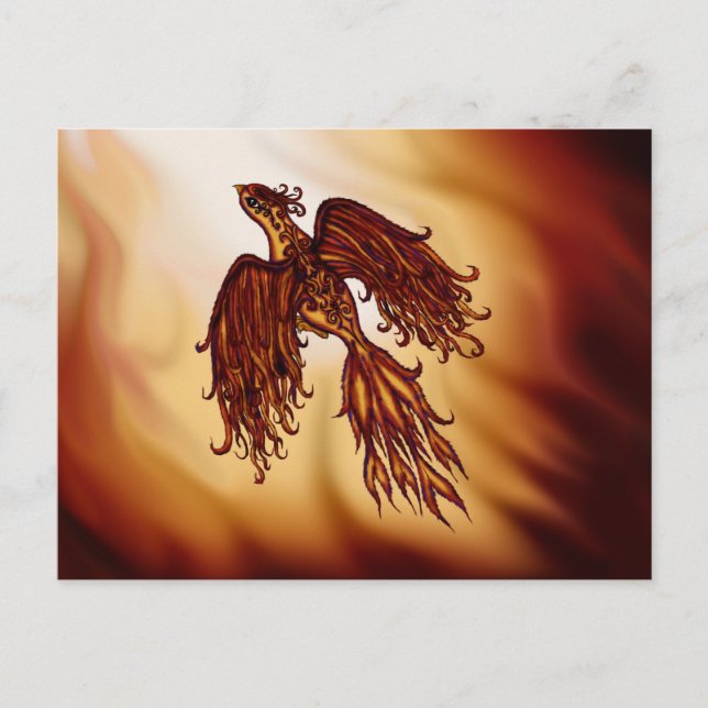 Phoenix Fly Postkarte (Vorderseite)