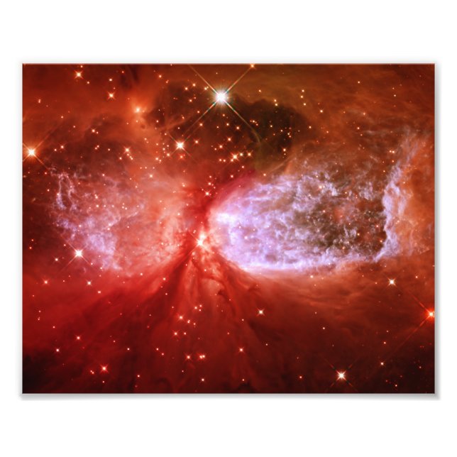 Phoenix Fotodruck (Vorne)