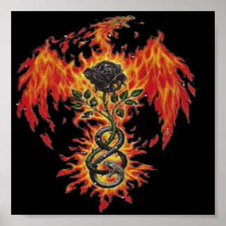 Phoenix-Poster Poster