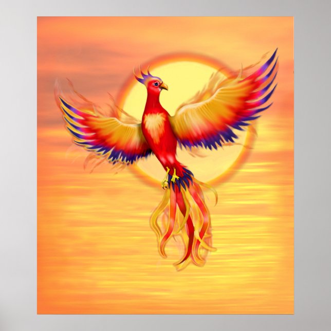 Phoenix Rising Poster (Vorne)