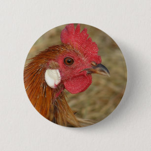 Phoenix Rooster Button