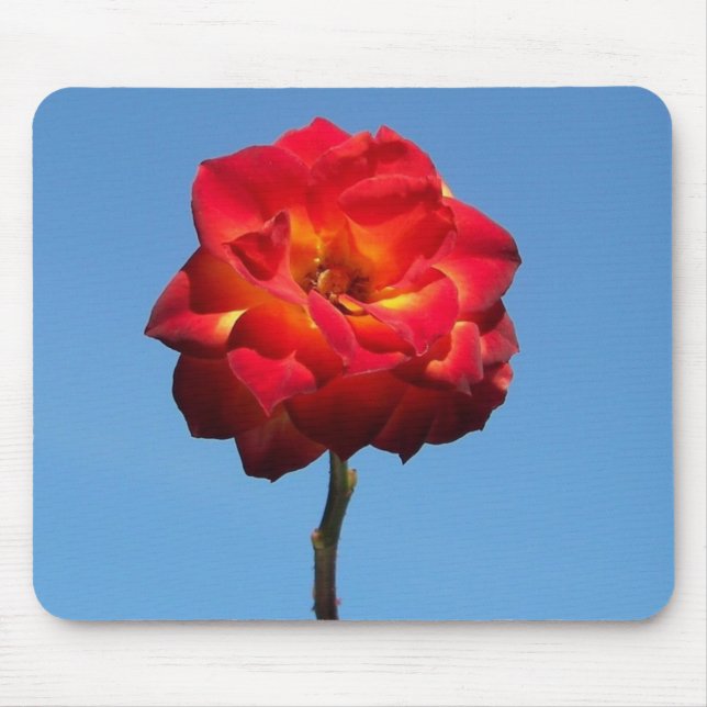 Phoenix-Rose in der Sky-Mousepad Mousepad (Vorne)