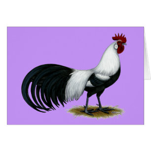 Phoenix: Silberner Duckwing Hahn