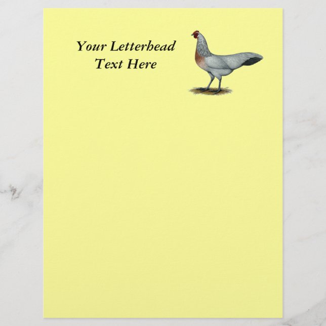 Phoenix: Silver Duckwing Hen (Vorderseite)