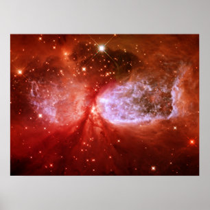 Phönix Poster
