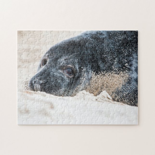 Phoque gris dans le sable, Puzzle Jigsaw (Horizontal)