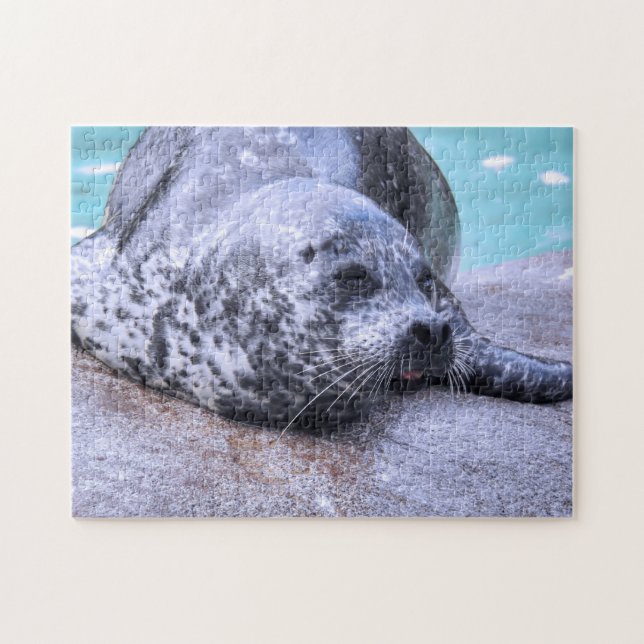 Phoque gris gros plan, Puzzle Jigsaw (Horizontal)