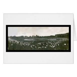 Photo 1907 de série du monde de tigres