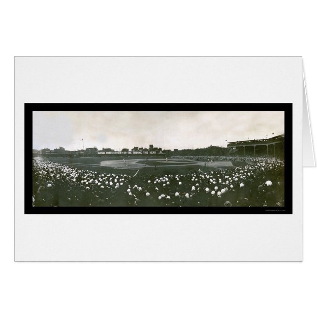 Photo 1907 de série du monde de tigres (Devant horizontal)