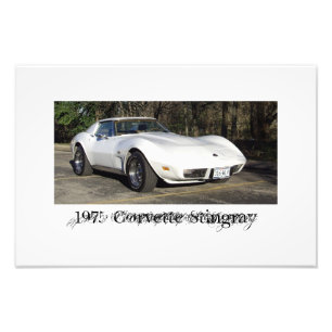 Photo 1975 de pastenague de Corvette