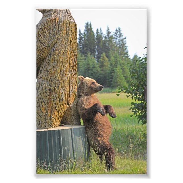 photo 6x4 de l'ours grizzli (Devant)
