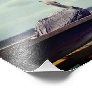 Photo 8x12 - "Chillin' Pelican" St. Augustine, FL