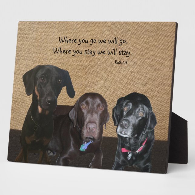 Photo Amoureux des chiens Plaque (Côté)