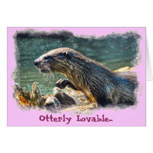 Photo animalière de River Otter Animal-lover