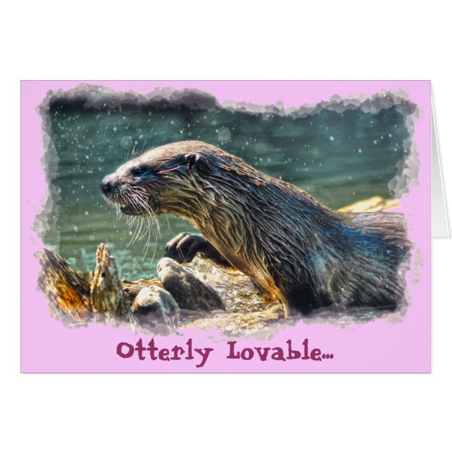 Photo animalière de River Otter Animal-lover (Devant horizontal)