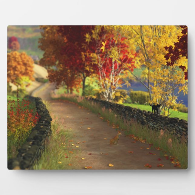Photo Automne dans la Plaque de Glen (Devant)