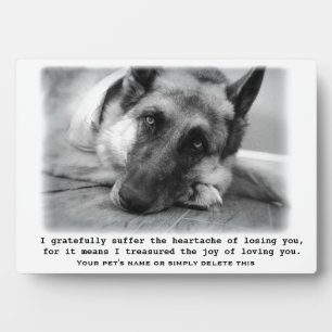Photo Belle plaque commémorative pour chien de berger al