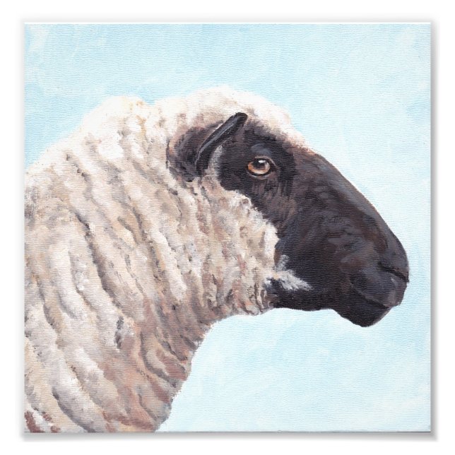 Photo Black Sheep Face II (Devant)