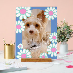 Photo bleu simple Daisy