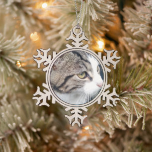 Photo chat animal flocon de neige ornement arbre d
