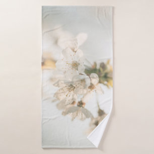 Photo Cherry Nature