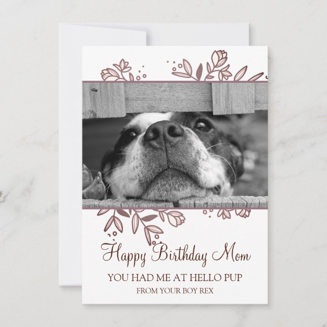 Photo Chien Joyeux Anniversaire De Secourir Carte  (Devant)
