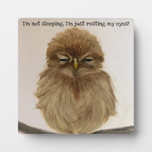 Photo Chouette Bébé Sleeping Plaque Easel