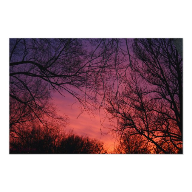 Photo "Couleurs" (Devant)