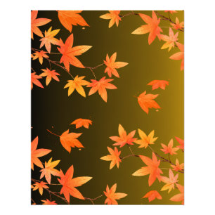 Photo d'agrandissement de feuilles d'érable d'auto
