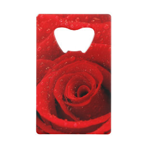 Photo d'arrière - plan de rose rouge