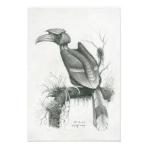 Photo de Cambodian Hornbill Bird par Vannak Prum