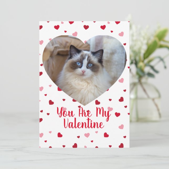 Photo de chat personnalisée Carte Saint-Valentin (Debout devant)