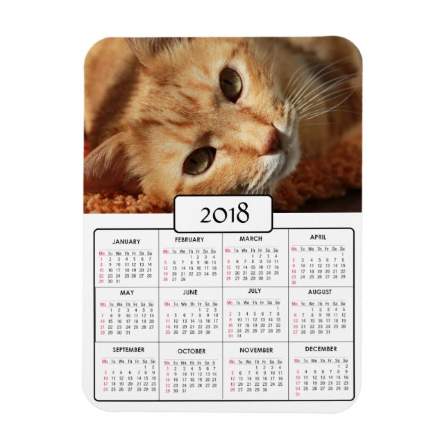 Photo de chat personnalisée Magnet Calendrier 2018 (Vertical)