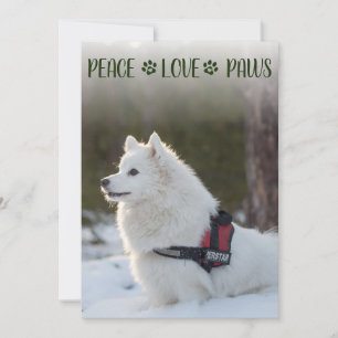 Photo de chien Carte Appartement de Noël